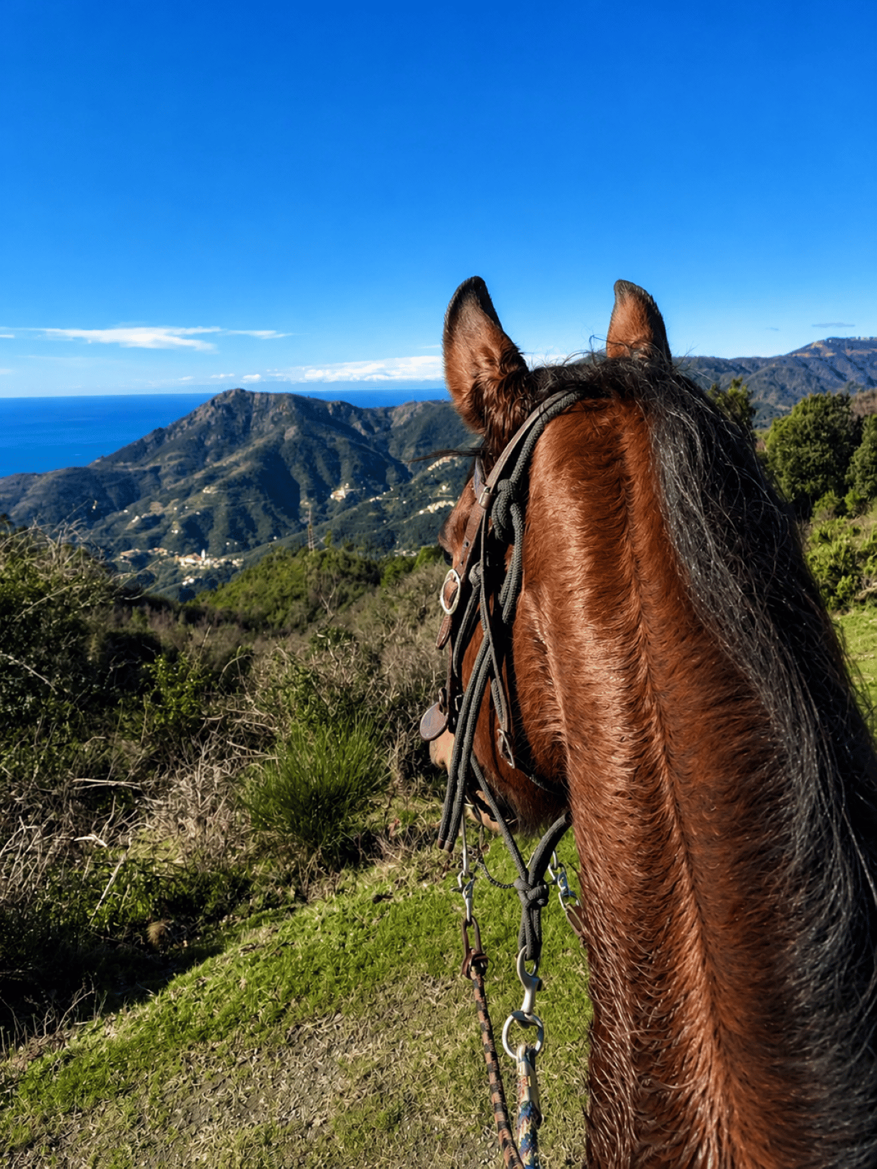 Cinque Terre: Ausritt von Monterosso inmitten der Natur