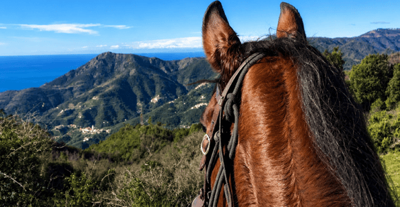 From Monterosso: Cinque Terre Horseback Riding Experience in Nature