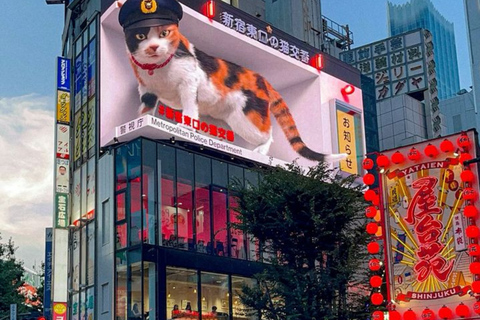 Tokyo City Highlight Private Tour Full Adjustable Itinerary