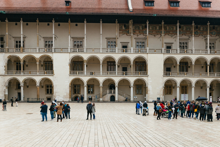 Krakow: Wawel Royal Hill Guided Tour Tour in Polish - Shared