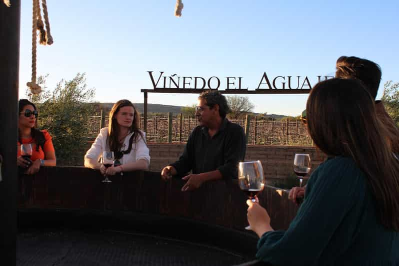 Aguascalientes: cheese and wine tour | GetYourGuide