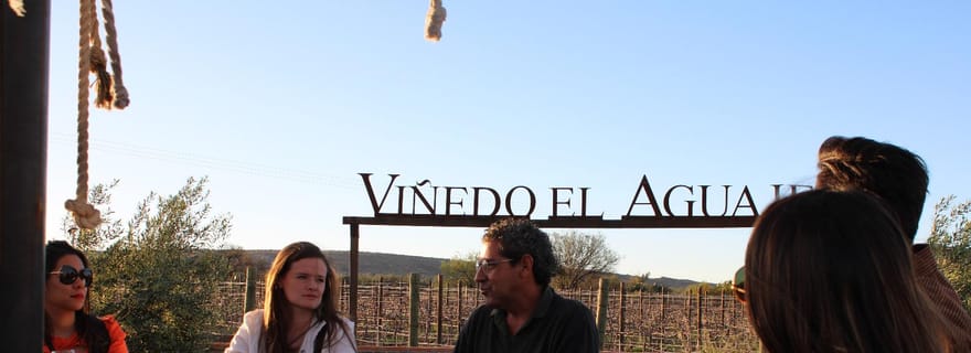 VISITE DES VIGNOBLES