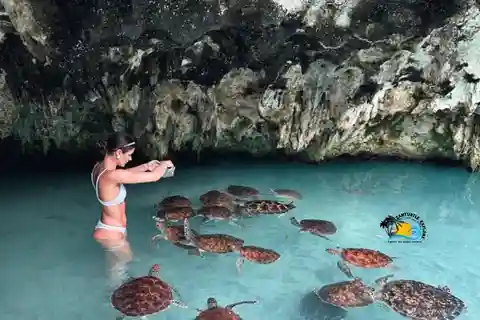 Zanzibar: Jozani Forest, Kuza Cave & Salaam Cave Aquarium