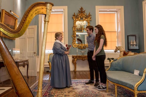 Waterford Treasures Museums: Bishop's Palace Entry Ticket - Image 2