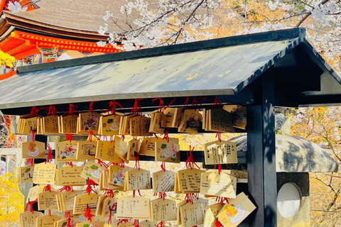 Quioto: tour familiar particular com guia, natureza e culturaKyoto: Tour particular para famílias com natureza e cultura