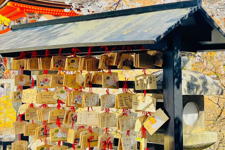 Quioto: tour familiar particular com guia, natureza e culturaKyoto: Tour particular para famílias com natureza e cultura