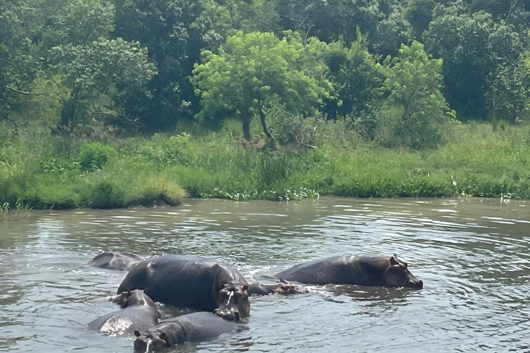 Uganda: Excursão de 7 dias a Kampala e Jinja, safári nas Cataratas MurchisonUganda: Excursão de 7 dias a Kampala e Jinja, Safári nas Cataratas Murchison