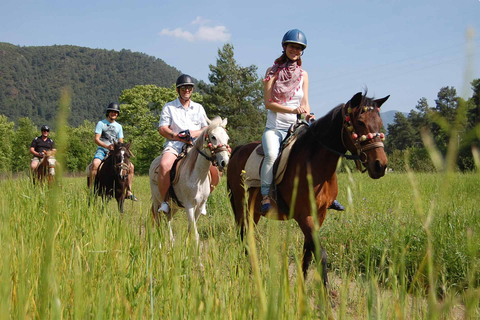 Fethiye: Forest or Sea Horse Riding Experience Fethiye: Horse Riding with Sea Experience