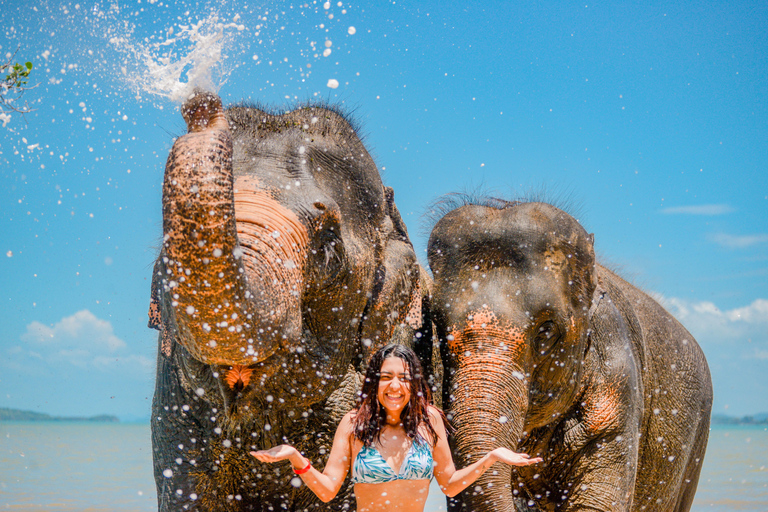 Phuket: Half‑Day Elephant Care Experience Including Lunch