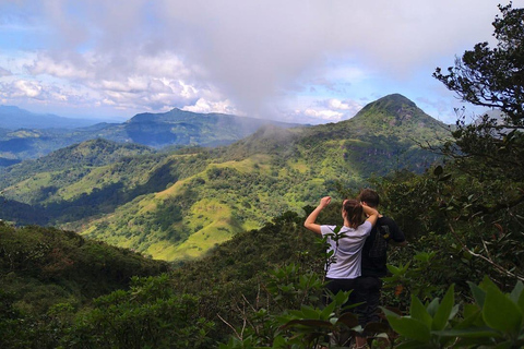 Colombo: Sigiriya, Dambulla & Village Experience Day Trip Colombo:Sigiriya, Dambulla All Inclusive Day Tour