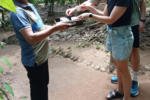 康提：香料园和手工艺人工作室嘟嘟车之旅