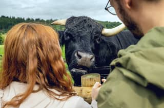 Hairy Coos & Highland Views: Ein kurzer Ausflug von Edinburgh