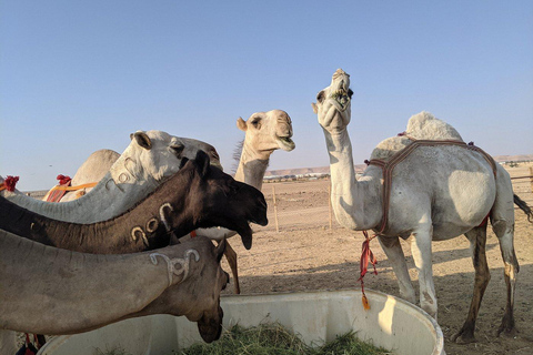 Gira por los confines del mundogira al borde del mundo