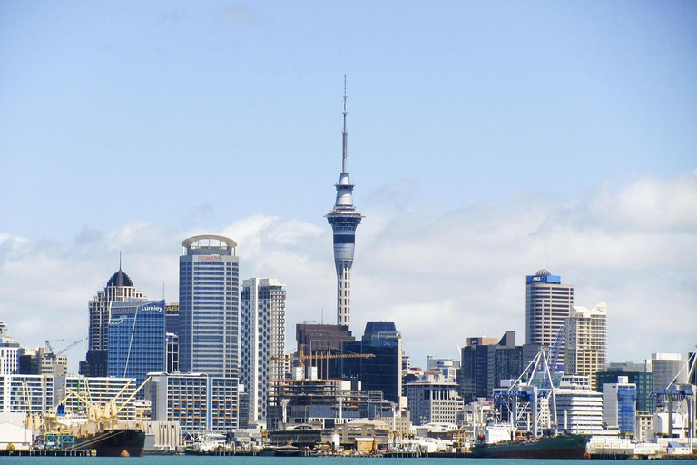 Auckland ferry explore: Devonport Village & Mount Victoria