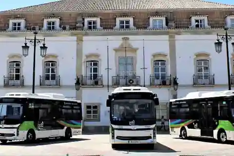 Esplora l'area di Portimão con il Pass bus di 3 giorni e 7 giorni