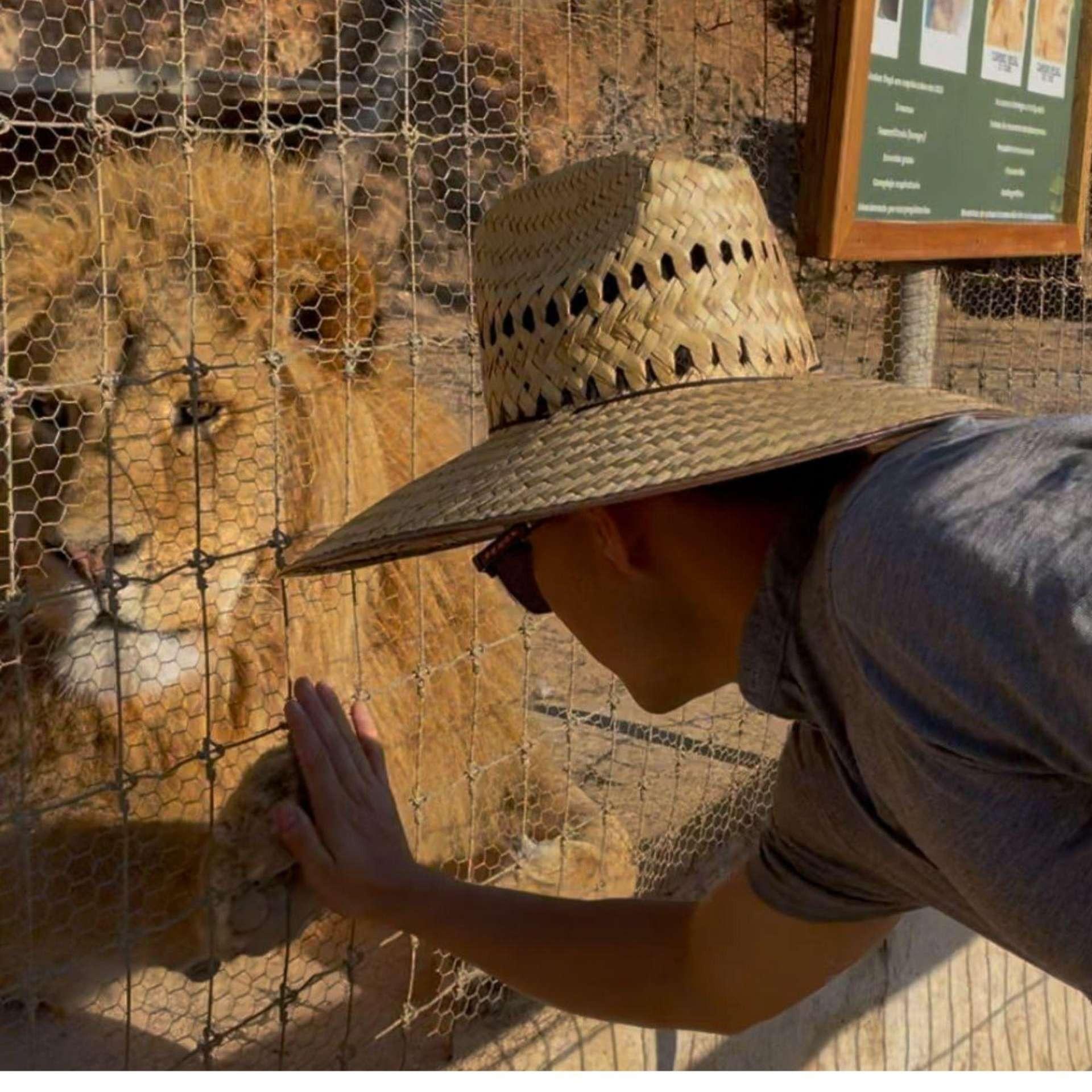 Besuche die mexikanische Schweiz: Mazamitla und Camino Real del Tigre