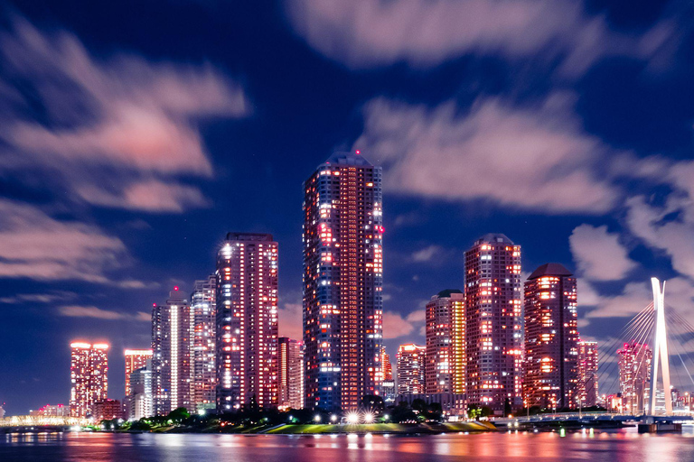 Tokyo: Luxury Private Full-Day City Tour by Alphard Luxury Alphard