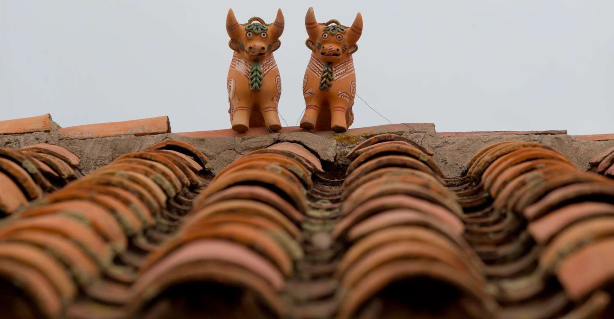 From Cusco, Archaeological centers + Picnic + Painting - Housity