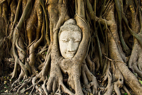 Bangkok to DuBua Café & Ayutthaya Private Day Trip