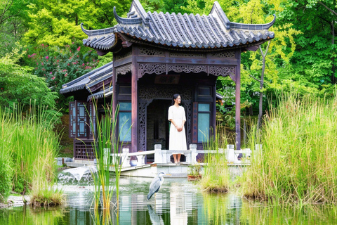 Suwon: Hwaseong, Starfield Library, and Hangnidan-gil Tour
