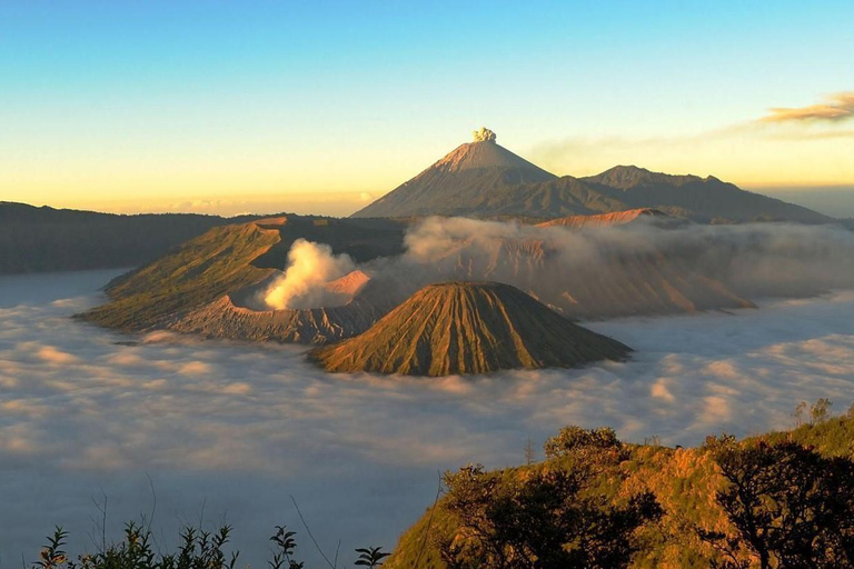 Tumpak Sewu, Bromo & Ijen Tour with Baluran Safari Option Tumpak Sewu, Bromo & Ijen Tour with Baluran Safari