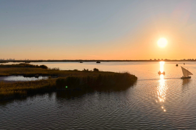 Valencia: Epic Albufera Sunset adventures and fun Albufera experience May 2026