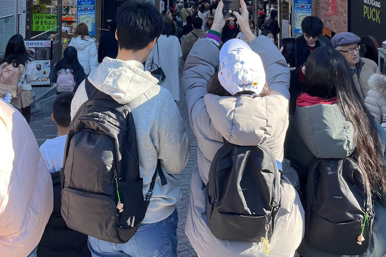 Tokio in 4 Stunden (Meiji Jingu, Harajuku, Shibuya, Shijuku)