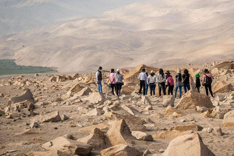Arequipa:Dead Bull Petroglyphs, Querulpa Park and Chancharay