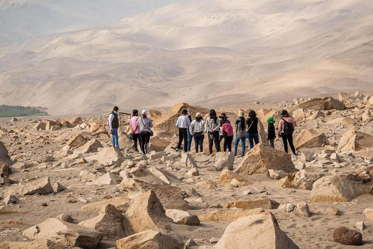 Arequipa:Dead Bull Petroglyphs, Querulpa Park and Chancharay