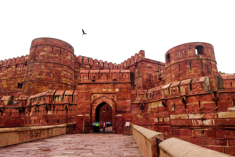 Från Delhi: - Tajmahal och Agra fort Tour med lunch