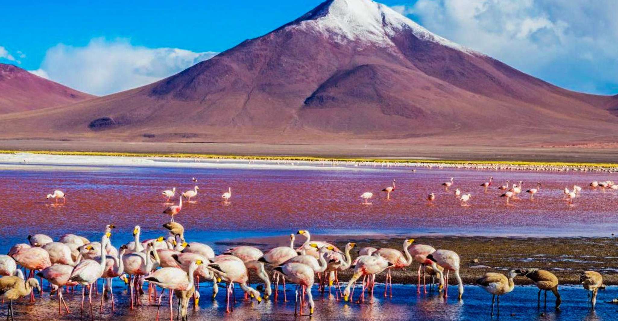 Uyuni Salt Flat - Colored Lagoons Tour - 3 Days/2 Nights - Housity