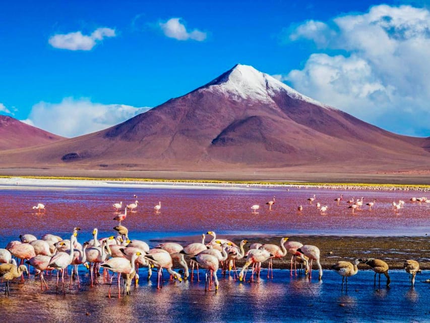 De Atacama | Salar de Uyuni 4 días el mayor lago salado | GetYourGuide