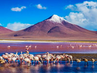 Uyuni Salt Flat - Colored Lagoons Tour - 3 Days/2 Nights - Housity