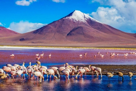 From Atacama | Salar de Uyuni 4 days the largest salt lake