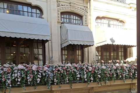 Rio de Janeiro: Historic Downtown Walking Tour with Lunch