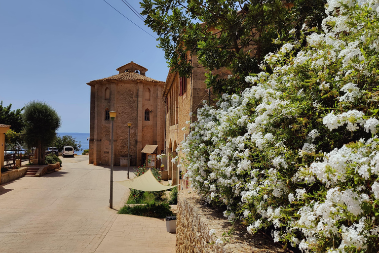 Palma de Mallorca: SmallGroup Tour by Locals in Hidden Coves