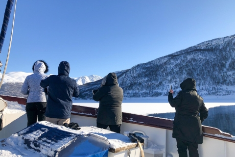 Tromsø : croisière en yacht dans le fjord gelé avec déjeuner