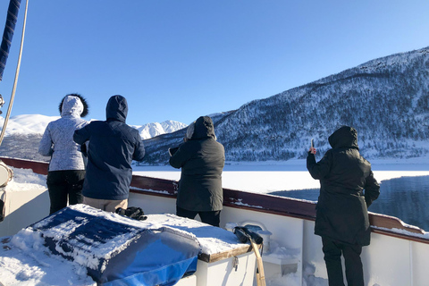 Tromsø : croisière en yacht dans le fjord gelé avec déjeuner