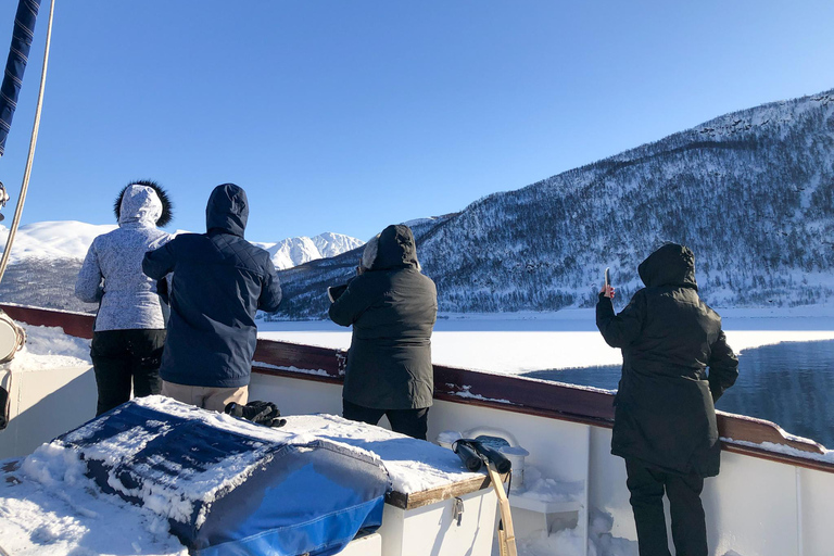 Tromsø : croisière en yacht dans le fjord gelé avec déjeuner