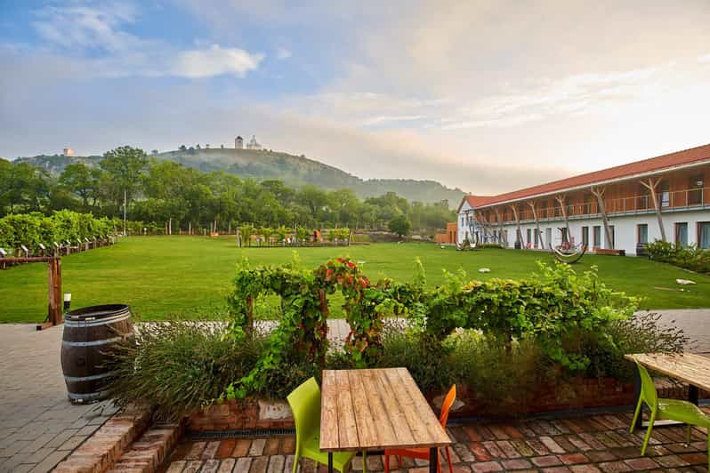 Mikulov: Wine Tasting Experience with Sommelier