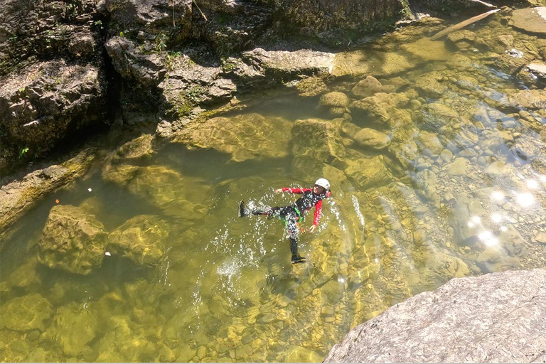 萨尔茨堡：小团体家庭溪降之旅和顶级服务，9岁以上儿童萨尔茨堡：小团体家庭溪降活动，顶级指导，9岁以上儿童