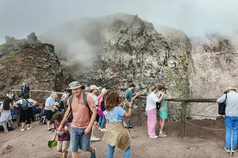 Naples: Mount Vesuvius and Herculaneum Tour with Guide Mount Vesuvius and Herculaneum with Digital Guide
