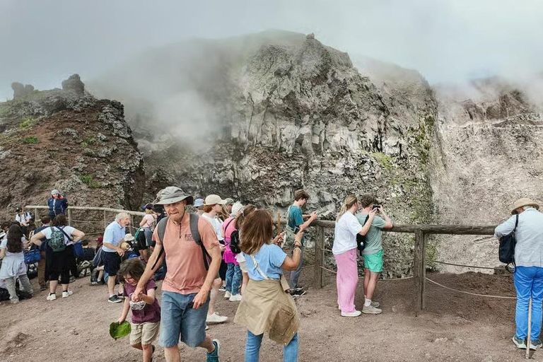 Naples: Mount Vesuvius and Herculaneum Tour with Guide Mount Vesuvius and Herculaneum with Digital Guide