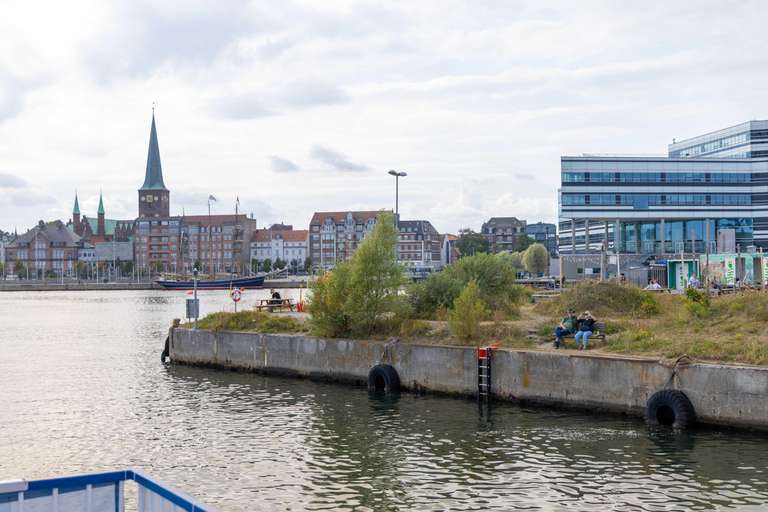 Guided Harbor Cruise: Aarhus Harbor Cruise