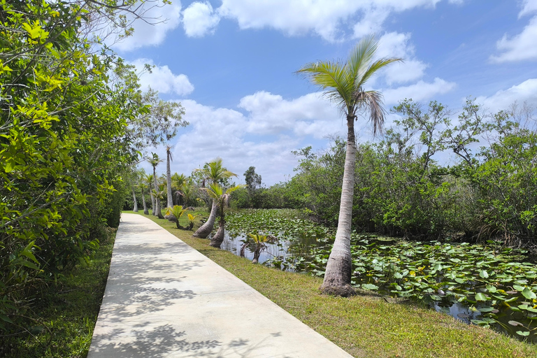 Miami: Everglades Small Group Tour in French Miami: Guided Everglades Tour in a Small Group in French