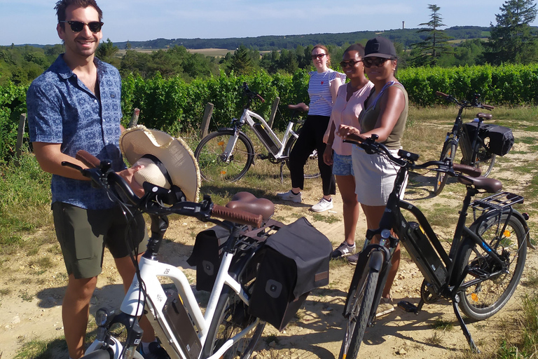 Royal Loire E-bike day: Amboise, Chenonceau & Wine Tasting