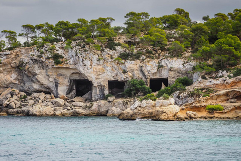 Mallorca Experience: Playa Portal Vells / Playa del MagoTour Playa Portal Vells, Cueva Portal Vells y Playa del Mago