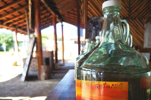 Puerto Escondido: Mezcal, Kaffee und eine WebereiPuerto Escondido: Mezcal, Kaffee und eine Fabrik für Tretwebstühle