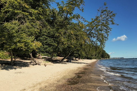 Gdynia: Forest, Cliff, and Beach Guided Walking Tour