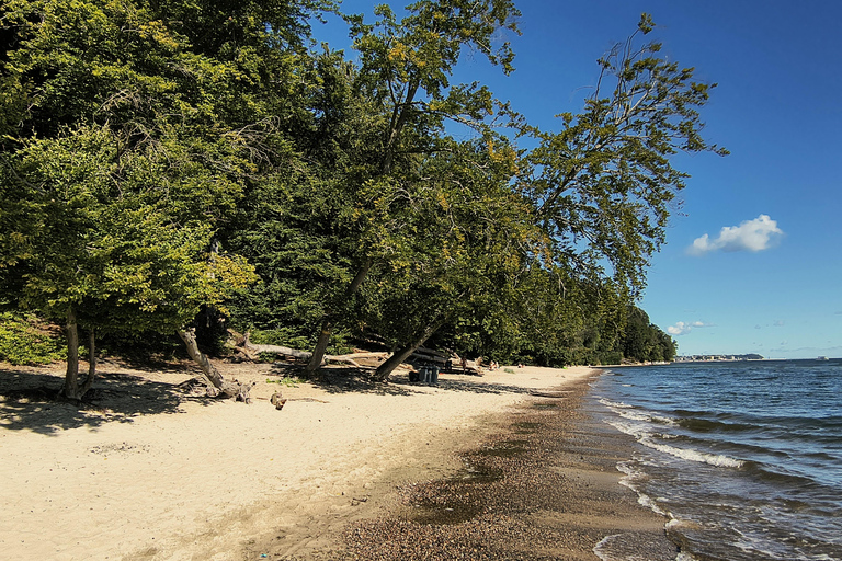 Gdynia: Forest, Cliff, and Beach Guided Walking Tour